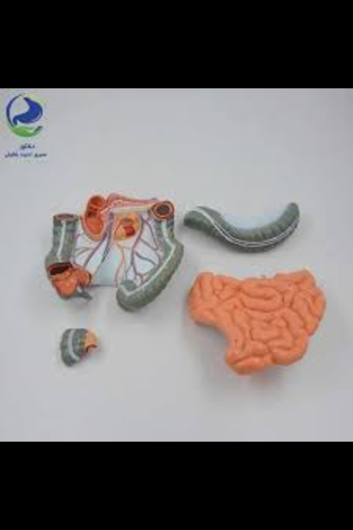 Image Alt
